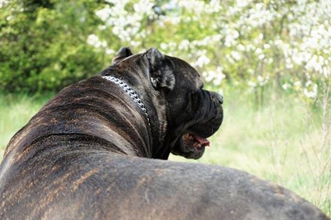 Abi ma focha na Was ..bo mówi ,ze jej nie udostępniacie ??czy to prawda ??